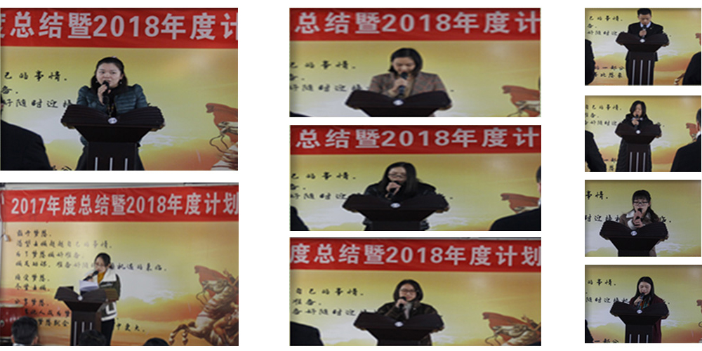 麥斯2017年度總結(jié)暨2018年度計(jì)劃會(huì)議 麥斯2017年度總結(jié)暨2018年度計(jì)劃會(huì)議